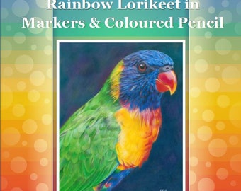 Rainbow Lorikeet Drawing Tutorial