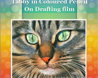 Tabby in Coloured Pencil on Drafting Film Drawing Tutorial