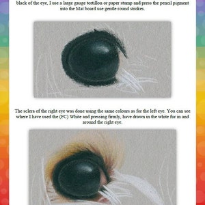 May include: A close-up of a drawing of an animal's eye. The eye is black with a white sclera. The drawing is done in pencil on a grey background. The text "Right Eye" is written in black at the top of the image. The text below the image describes the process of drawing the eye.