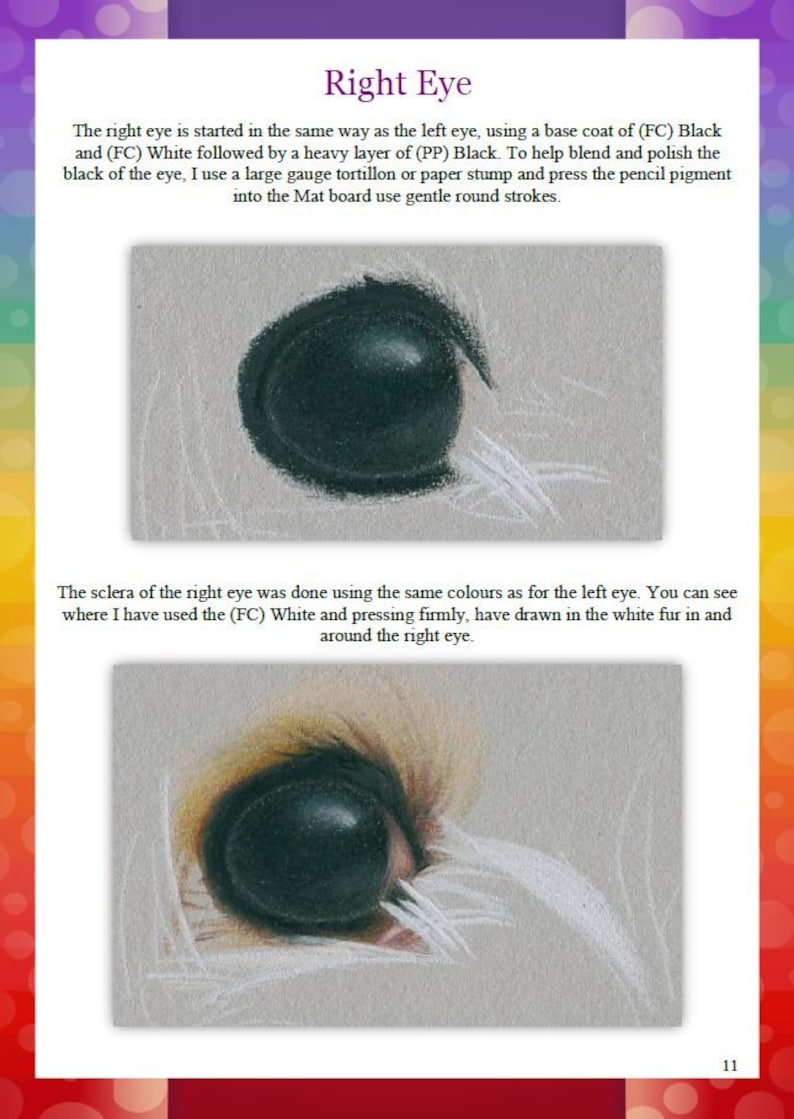 May include: A close-up of a drawing of an animal's eye. The eye is black with a white sclera. The drawing is done in pencil on a grey background. The text "Right Eye" is written in black at the top of the image. The text below the image describes the process of drawing the eye.