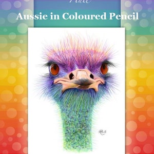 May include: A colourful, close-up drawing of an emu's head and neck. The emu has a purple and pink crest, blue and green feathers, and orange eyes. The drawing is done in coloured pencil and has a white background. The text "Aussie in Coloured Pencil" is at the top of the image. The text "Step by Step Art Tutorials www.karenhullart.com hullfamily1@bigpond.com" is at the bottom of the image.