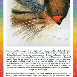 May include: A close-up of a cat's right cheek, drawn in colored pencil. The fur is a mix of brown, white, and red, with the whiskers drawn in black. The text "The Right Cheek" is at the top of the image.