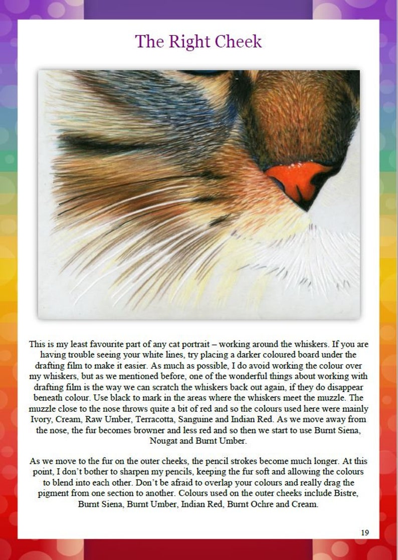 May include: A close-up of a cat's right cheek, drawn in colored pencil. The fur is a mix of brown, white, and red, with the whiskers drawn in black. The text "The Right Cheek" is at the top of the image.
