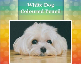 White Dog in Coloured Pencil Drawing Tutorial