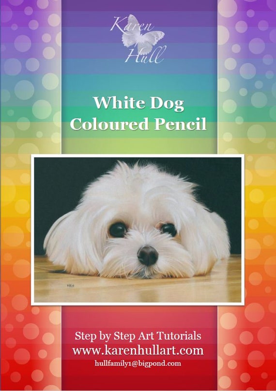White Dog in Coloured Pencil Drawing Tutorial
