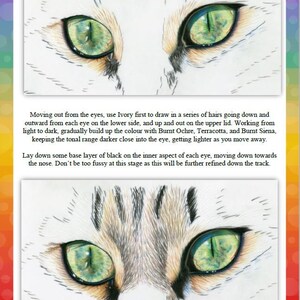 May include: Close-up of a cat's eyes, showing the detailed drawing of the fur around the eyes. The eyes are green with black pupils, and the fur is drawn in shades of brown, black, and white.