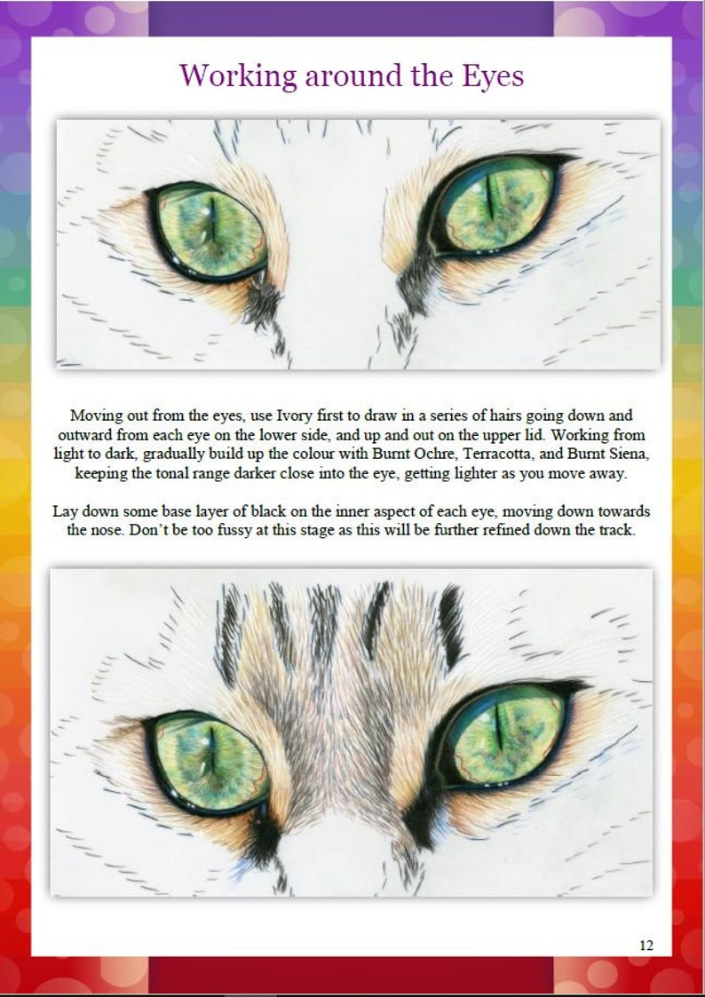 May include: Close-up of a cat's eyes, showing the detailed drawing of the fur around the eyes. The eyes are green with black pupils, and the fur is drawn in shades of brown, black, and white.