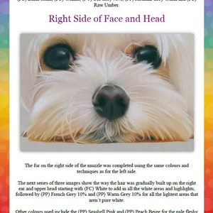 May include: A close-up of a white dog's face, showing the right side of the muzzle and head. The fur is drawn with coloured pencils, using shades of white, grey, pink, and beige. The text "Right Side of Face and Head" is written in black at the top of the image.