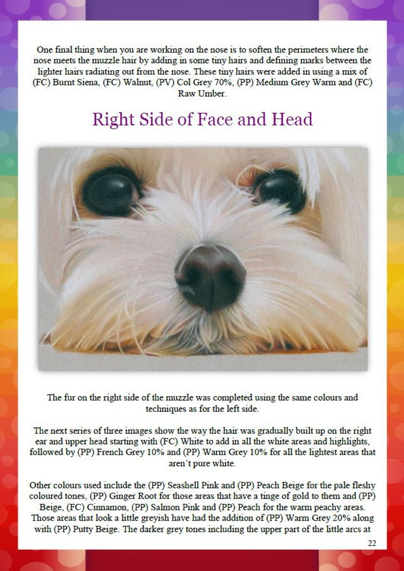 May include: A close-up of a white dog's face, showing the right side of the muzzle and head. The fur is drawn with coloured pencils, using shades of white, grey, pink, and beige. The text "Right Side of Face and Head" is written in black at the top of the image.