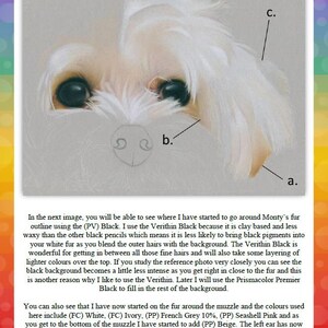 May include: A close-up of a white dog's face with a detailed illustration of the fur and muzzle. The image shows the artist's process of layering coloured pencils to create a realistic effect. The text in the image describes the techniques used to create the fur and the background.