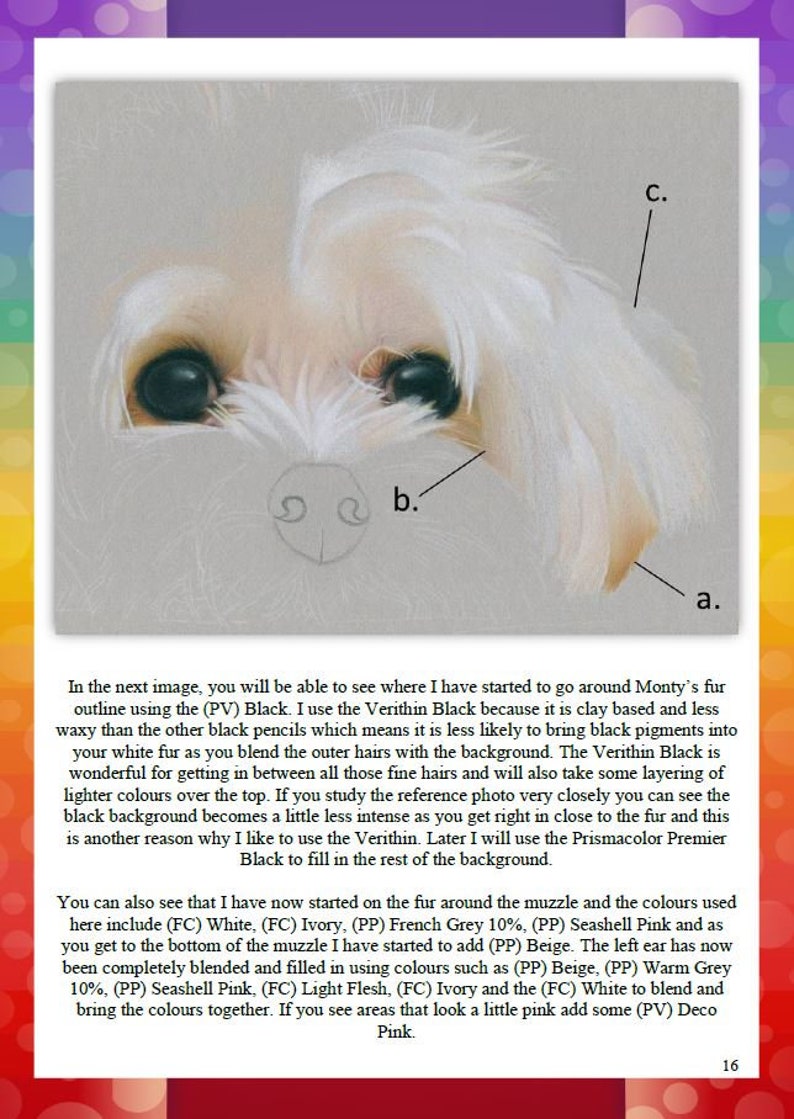 May include: A close-up of a white dog's face with a detailed illustration of the fur and muzzle. The image shows the artist's process of layering coloured pencils to create a realistic effect. The text in the image describes the techniques used to create the fur and the background.