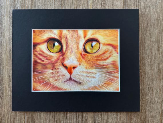 Amber Cat Tabby Kitten Ginger Coloured Pencils Drafting Film