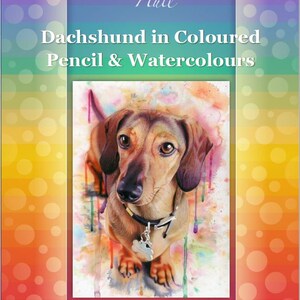 Può includere: Un dipinto ad acquerello di un bassotto con gocce di vernice colorate sullo sfondo. Il dipinto è intitolato "Dachshund in Coloured Pencil & Watercolours" e include il nome dell'artista e il suo sito web.