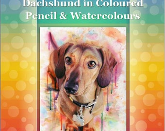 Dachshund in Coloured Pencil and Watercolour Drawing Tutorial