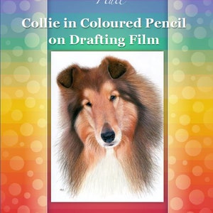 Collie in Buntstiften auf Zeichenfolie Zeichnung Tutorial