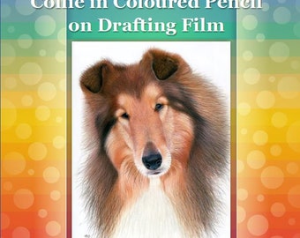 Collie in Coloured Pencils on Drafting Film Drawing Tutorial