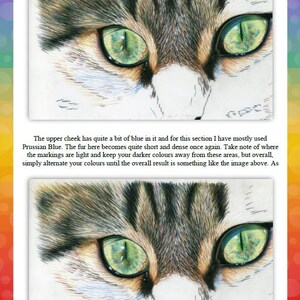 May include: Close-up of a cat's face with green eyes and brown and white fur. The fur is short and dense, and the cat's eyes are bright and alert.