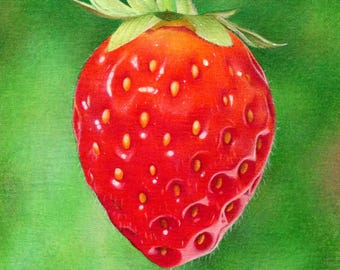 Strawberry Fruit Berry Colored Pencil Markers Original Artwork Drawing Illustration Colourful Canvas realistic by Karen Hull