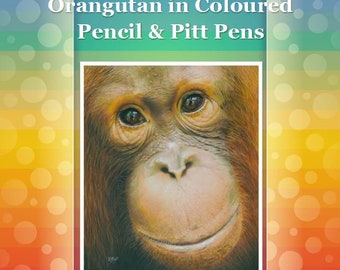 Orangutan in Coloured Pencil Drawing Tutorial