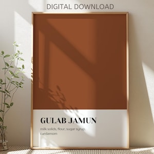 Gulab Jamun - Digital Download | Farbblock | Desi Wandkunst | Restaurant Poster | Moderne Desi | Küchenkunst | Pakistanische Kunst