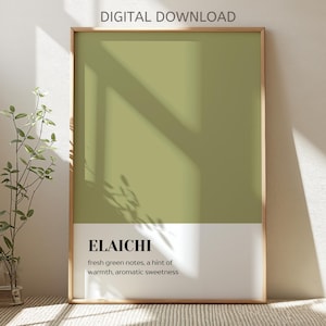 Elaichi - Digital Download | Color Block Print | Desi Aesthetic Wall Art | South Asian Home Decor | Modern Indian Art Print | Pakistani Art