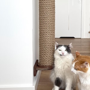 May include: A tall cat scratching post made of natural rope and dark wood is mounted on a white wall. Two cats, one white with black markings and the other orange and white, sit on the wooden floor near the post.