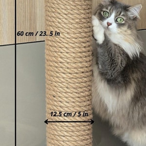 Könnte beinhalten: Ein Kratzbaum für Katzen in Naturtönen mit einer mit Sisal umwickelten Säule, 60 cm hoch und 12,5 cm Durchmesser, auf einem mehrstufigen Holzsockel, 43,5 cm breit. Eine kleine Holzkugel liegt auf dem Sockel. Eine flauschige Katze steht neben dem Pfosten.