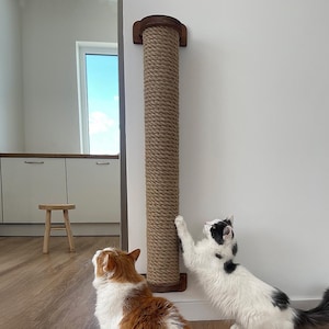 Peut inclure: Un griffoir mural pour chat en corde marron, avec des extrémités en bois foncé. Deux chats, l'un roux et blanc, l'autre noir et blanc, interagissent avec le poteau. La pièce a un sol en bois.