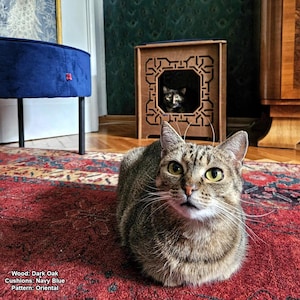 Multifunktionales Katzenhaus: Katzenbett im orientalischen Stil, Beistelltisch mit Samtkissen