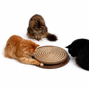 May include: A cat toy with a spiral rope design and a wooden base. Three cats of different colors, including orange, brown, and black, are interacting with the toy. The cats are focused on the toy, suggesting playful engagement.