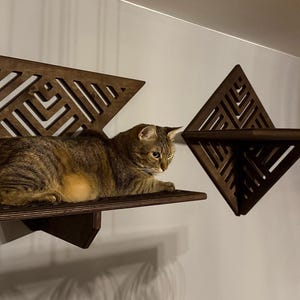 Modern Wooden Cat Wall Shelves: Grooved Cat Climbing Furniture