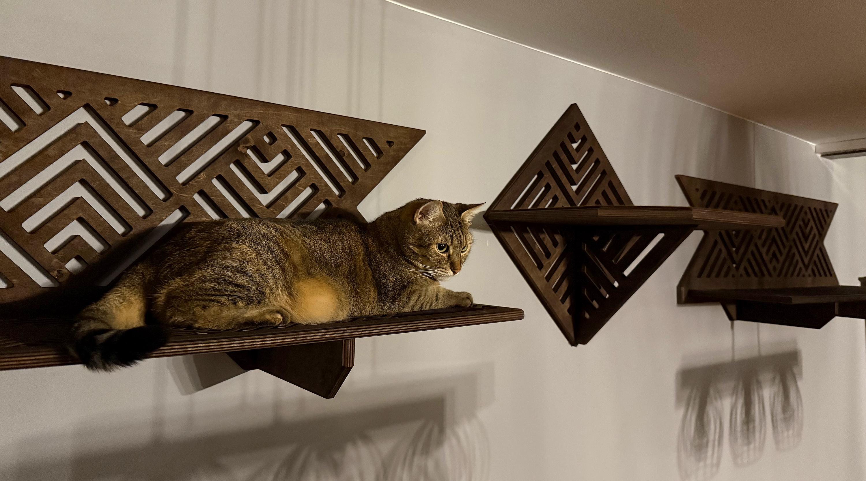 Catwalk Cat Walk - Etsy Canada