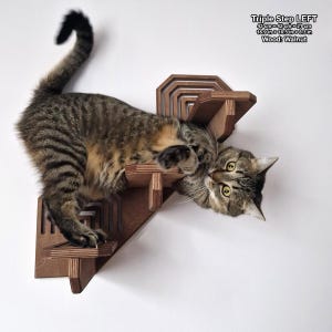 ブリッジ付きキャットシェルフ10個セット壁取り付け式、プレミアムキャットステップ、キャットツリー、キャットベッド、キャティオ、キャットシェルフ、キャットシェルフ（猫用）
