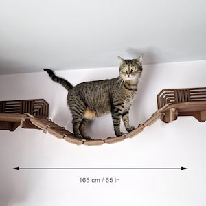 Conjunto de prateleiras de parede modernas para gatos: ponte de madeira compensada e degraus de escalada