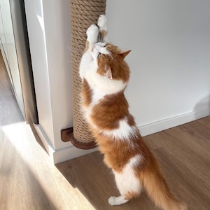 May include: A fluffy orange and white cat stands on its hind legs, stretching and clawing at a tall, brown, rope-wrapped cat scratching post. The cat is indoors, with a white wall and wooden floor in the background.