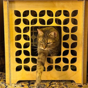 Modernt katthus i trä: Kattkub med sammetskuddar