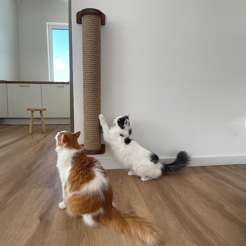 May include: A tall, brown rope cat scratching post mounted on a white wall. Two cats, one orange and white, the other black and white, interact with the post. The post has a dark brown wooden top and bottom.