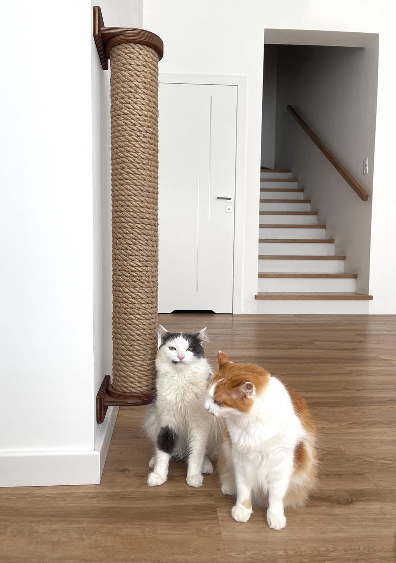 May include: A tall cat scratching post made of natural rope and dark wood is mounted on a white wall. Two cats, one white with black markings and the other orange and white, sit on the wooden floor near the post.
