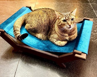 May include: A brown tabby cat resting on a raised pet bed featuring a dark brown wooden frame and a vibrant teal velvet fabric sleeping surface. The bed is designed with a curved, hammock-style base that elevates the cat above the floor level.