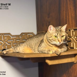 Shelves for cat, Cat bed for wall, Set of solid furniture for cats, Cat climbing shelf, Corner Cat shelf, Solid Cat steps, Cat bridge