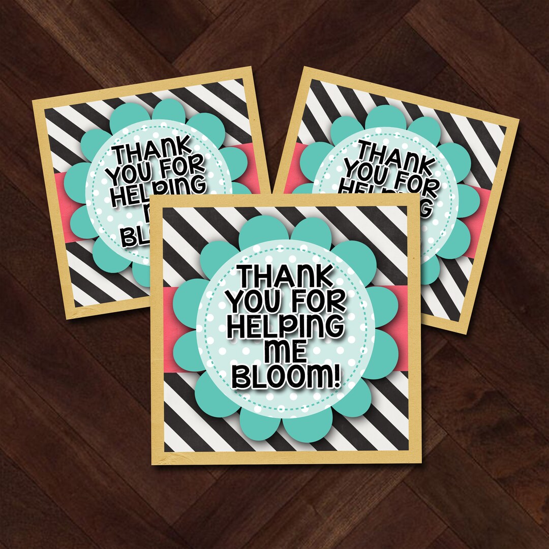 Teacher Gifts Teacher Appreciation Gift for Teacher Etsy