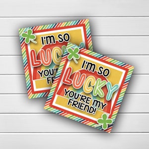 March LDS Ministering Gift Idea, St. Patricks Day, Relief Society Handout, Relief Society Gift Idea, Printable Tag, Friendship Gift