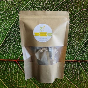 PAPAYA TEA
