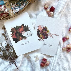 Carte postale Hérisson, Rouge-gorge, Animaux de la nature, Automne et Printemps - Illustration florale, Oshibana art, Impression d'art