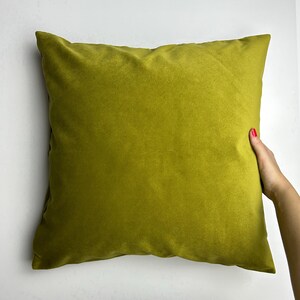 May include: A solid green velvet pillow with a smooth, soft texture.