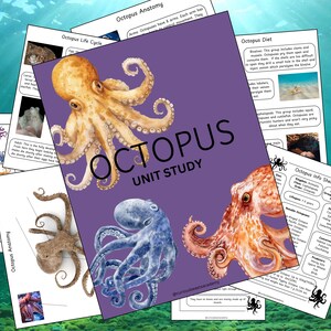 Puede incluir: Un fondo morado con la palabra "OCTOPUS" en letras blancas y las palabras "UNIT STUDY" en letras blancas más pequeñas. Hay tres ilustraciones de pulpos: uno naranja, uno azul y uno marrón. Las ilustraciones están rodeadas de páginas blancas con texto sobre la anatomía del pulpo, el ciclo de vida, la dieta y las hojas de información.