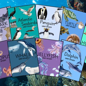 Ocean Animals Unit Study Bundle: Homeschool Printable (589 Pages)
