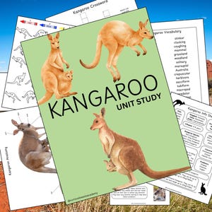 Puede incluir: Un estudio unitario imprimible sobre canguros, en verde y blanco. La portada presenta la palabra "KANGAROO" en negro y una imagen de un canguro con un joey en su bolsa. El estudio unitario incluye hojas de trabajo, vocabulario y hojas de información sobre canguros.