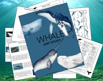 May include: A whale unit study with colorful illustrations of different whale species, including a humpback whale, a sperm whale, a narwhal, and a beluga whale. The text "Whale Unit Study" is printed in black on a blue background.