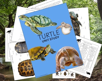 Turtle Unit Study: Homeschool Nature Learning Pack (Printable)